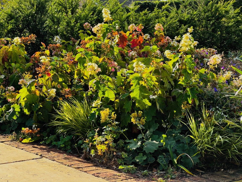 Springfield House, Collyweston